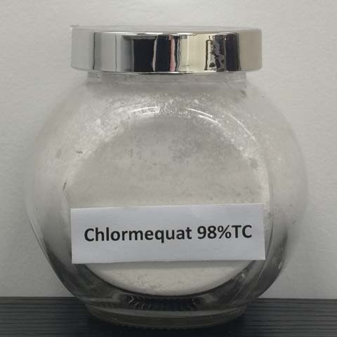 Chlormequat (Chlormequat Chloride)